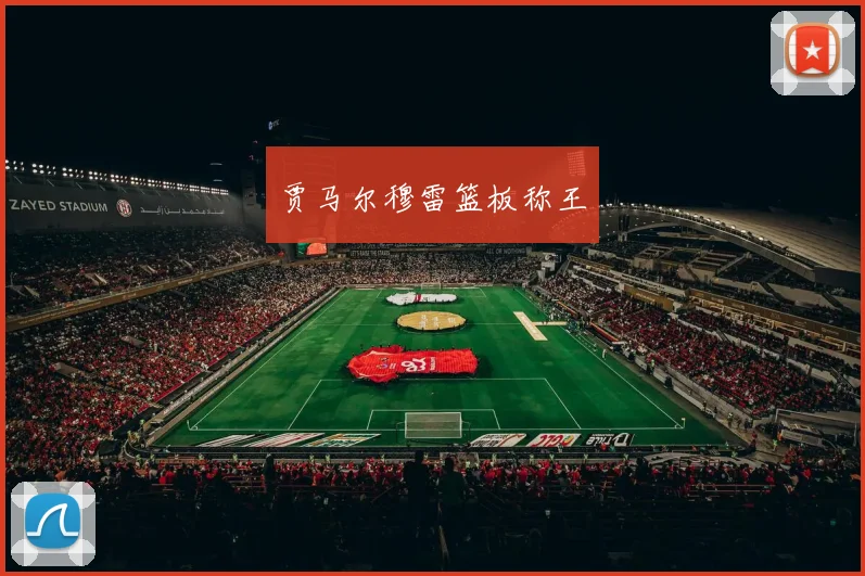 贾马尔穆雷篮板称王