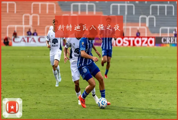 科特迪瓦八强之夜