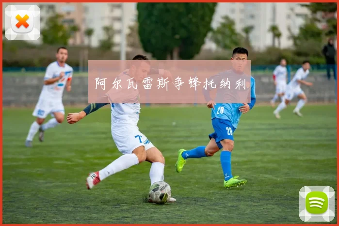 阿尔瓦雷斯争锋托纳利