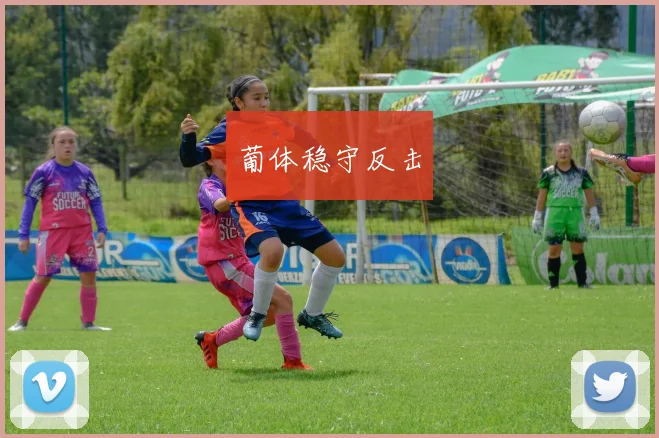 葡体稳守反击