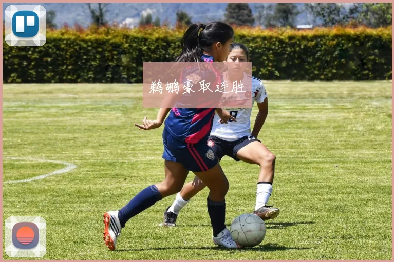 鹈鹕豪取连胜
