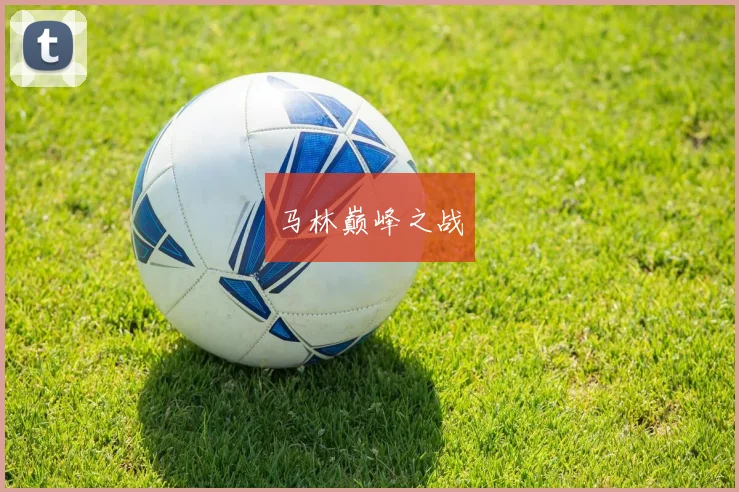 马林巅峰之战