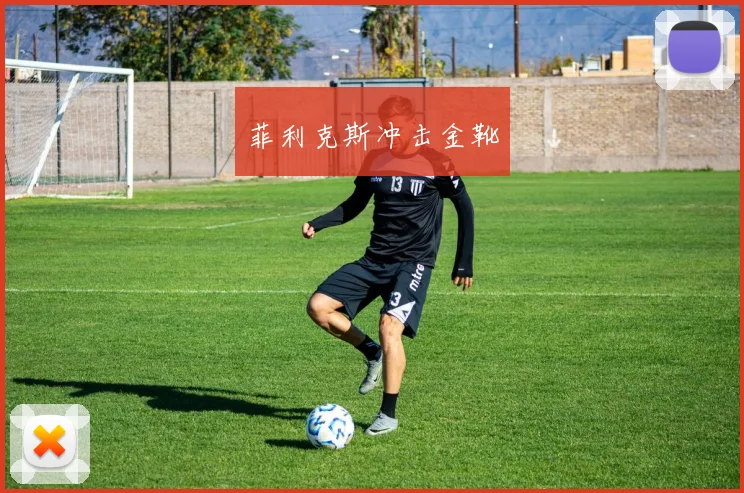 菲利克斯冲击金靴