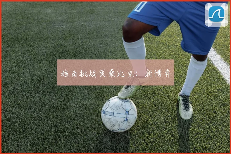 越南挑战莫桑比克：新博弈