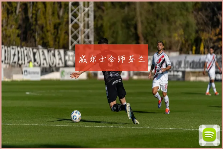 威尔士会师芬兰