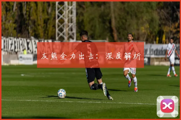 灰熊全力出击：深度解析