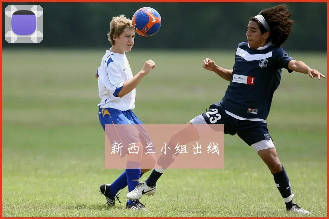 新西兰小组出线