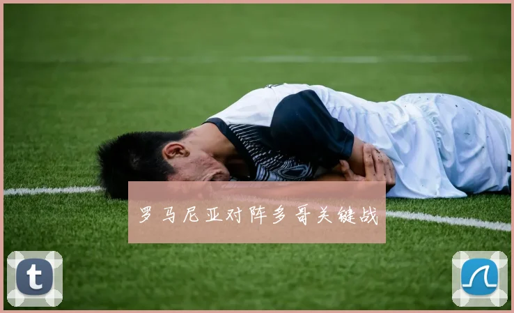 罗马尼亚对阵多哥关键战