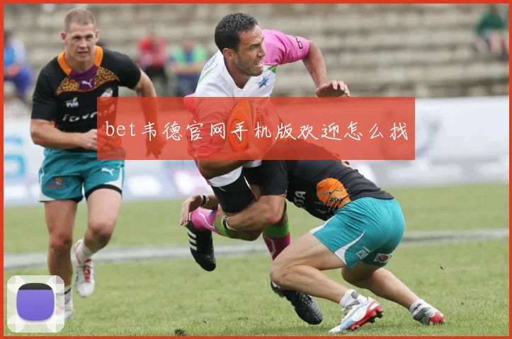 bet韦德官网手机版欢迎怎么找