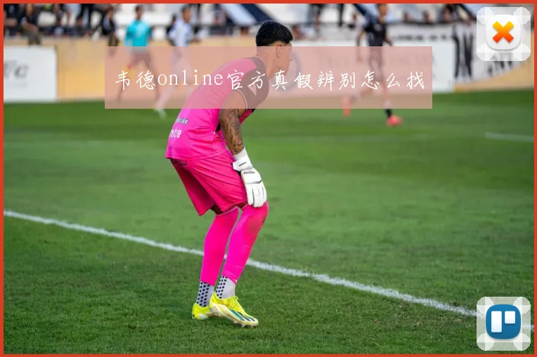 韦德online官方真假辨别怎么找