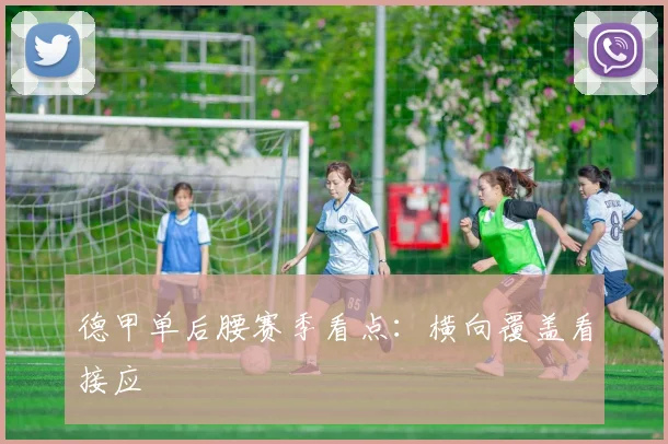 德甲单后腰赛季看点：横向覆盖看接应