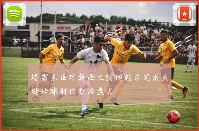 塔雷米面对新西兰防线能否完成关键传球射门数据盘点