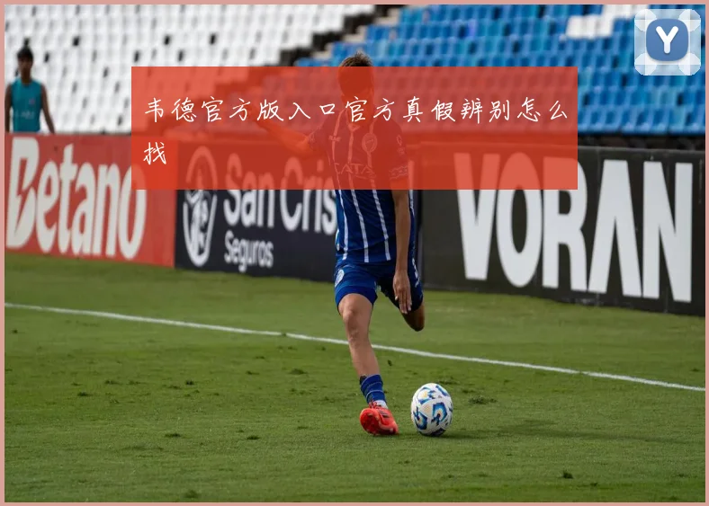 韦德官方版入口官方真假辨别怎么找
